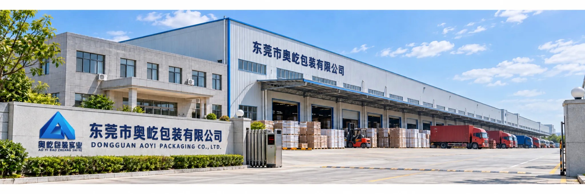 Quality Paper Carry Bag factory