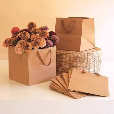 Quality 350gsm Cardboard Brown Paper Gift Bags Packaging OEM factory