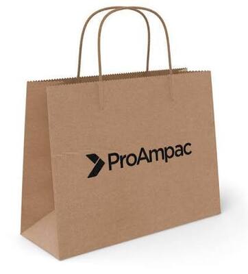 Quality Personalized Foldable Paper Packaging Bag Lightweight Eco Friendly factory