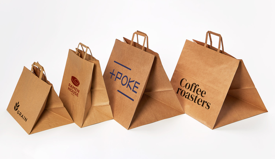 Quality Sustainable Twisted Handle Small Paper Carry Bags For Retail Grocery Packaging factory